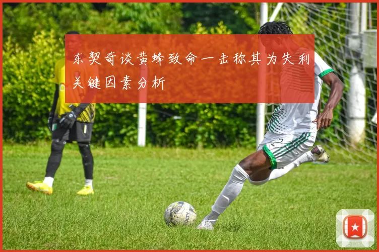 东契奇谈黄蜂致命一击称其为失利关键因素分析