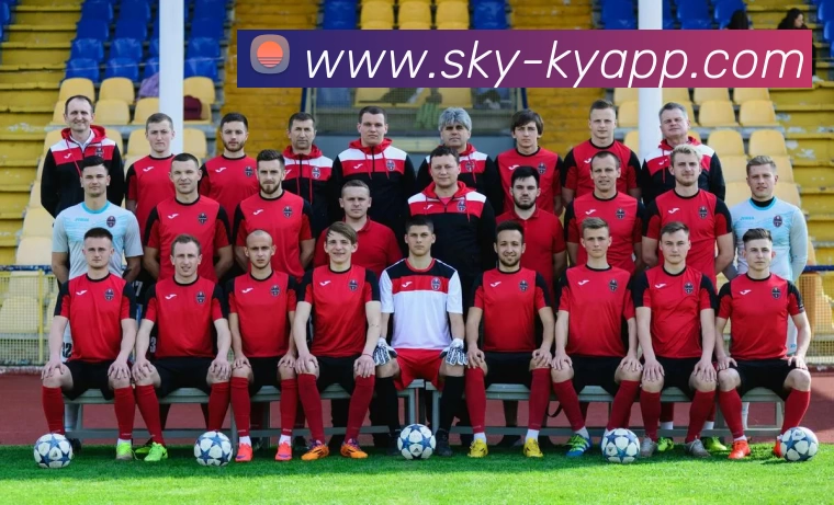 开云体育平台生态图